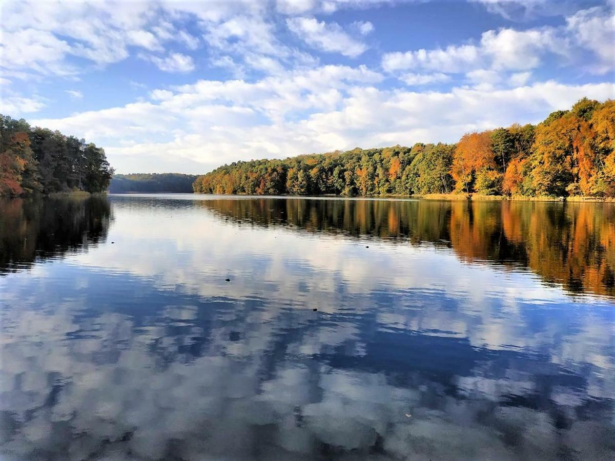 Lake Park Lagow Kültér fotó